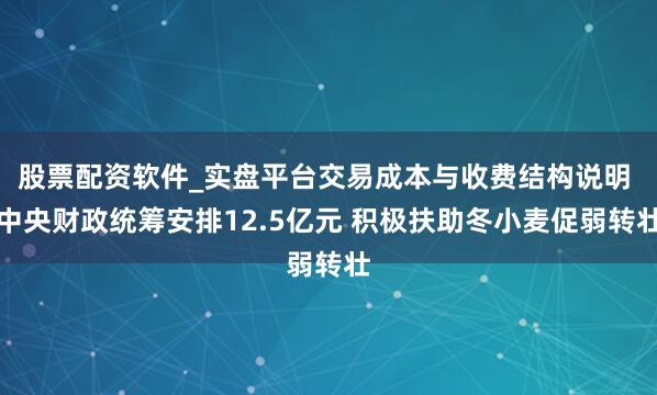 股票配资软件_实盘平台交易成本与收费结构说明 中央财政统筹安排12.5亿元 积极扶助冬小麦促弱转壮