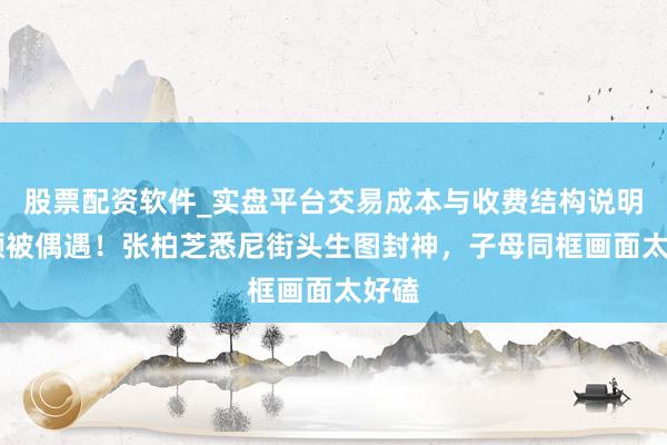 股票配资软件_实盘平台交易成本与收费结构说明 素颜被偶遇！张柏芝悉尼街头生图封神，子母同框画面太好磕