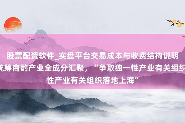 股票配资软件_实盘平台交易成本与收费结构说明 代表建议统筹商酌产业全成分汇聚，“争取独一性产业有关组织落地上海”