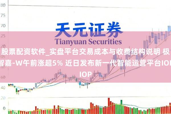 股票配资软件_实盘平台交易成本与收费结构说明 极智嘉-W午前涨超5% 近日发布新一代智能运营平台IOP