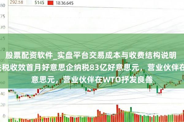 股票配资软件_实盘平台交易成本与收费结构说明 好意思国122关税收效首月好意思企纳税83亿好意思元，营业伙伴在WTO抒发良善