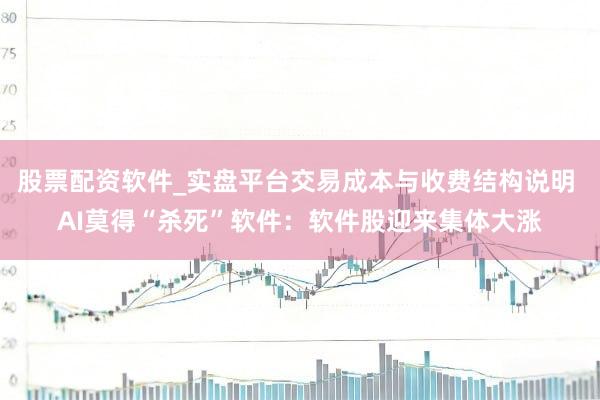 股票配资软件_实盘平台交易成本与收费结构说明 AI莫得“杀死”软件：软件股迎来集体大涨